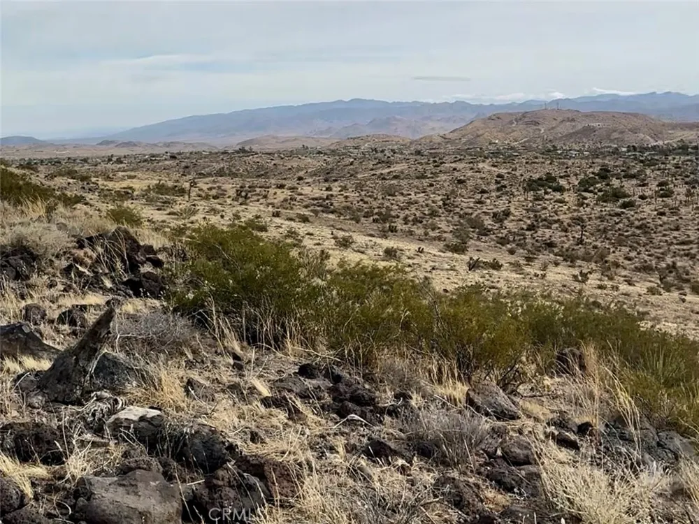 1234 Terra Vista Yucca Valley, CA 92284