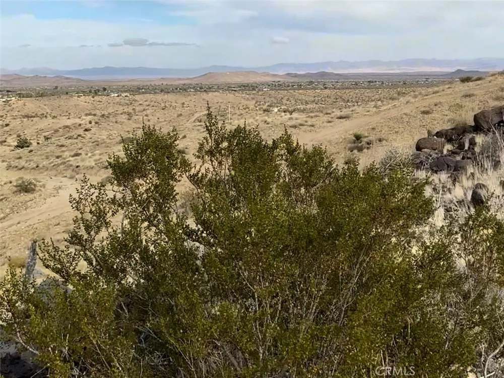 1234 Terra Vista Yucca Valley, CA 92284