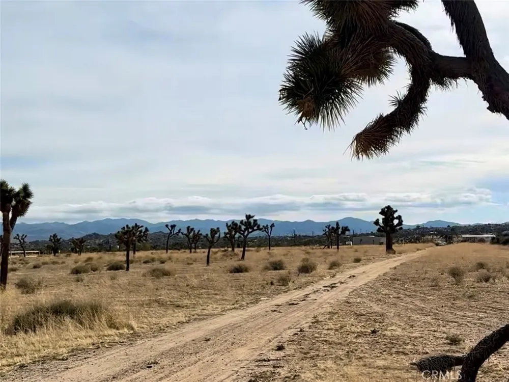 1234 Terra Vista Yucca Valley, CA 92284