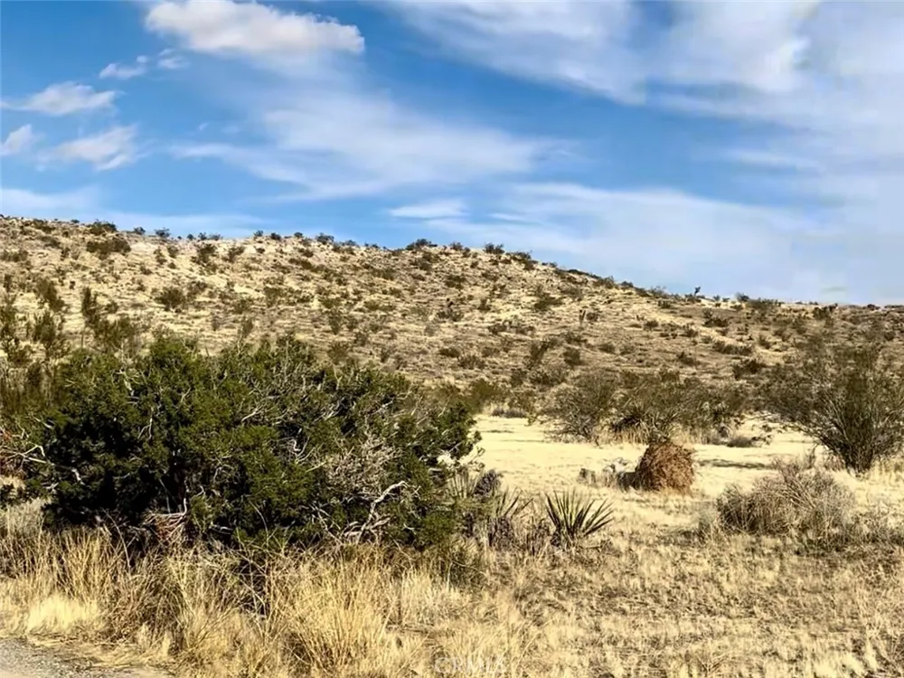 1234 Terra Vista Yucca Valley, CA 92284