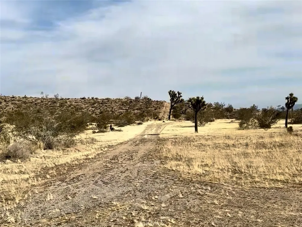 1234 Terra Vista Yucca Valley, CA 92284