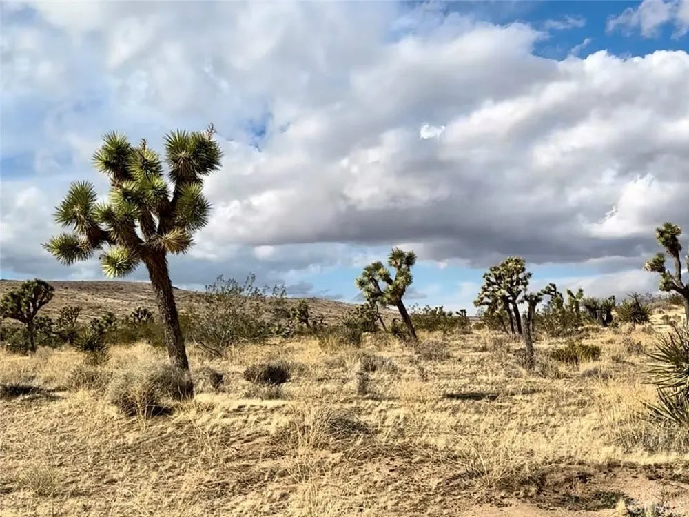 1234 Terra Vista Yucca Valley, CA 92284