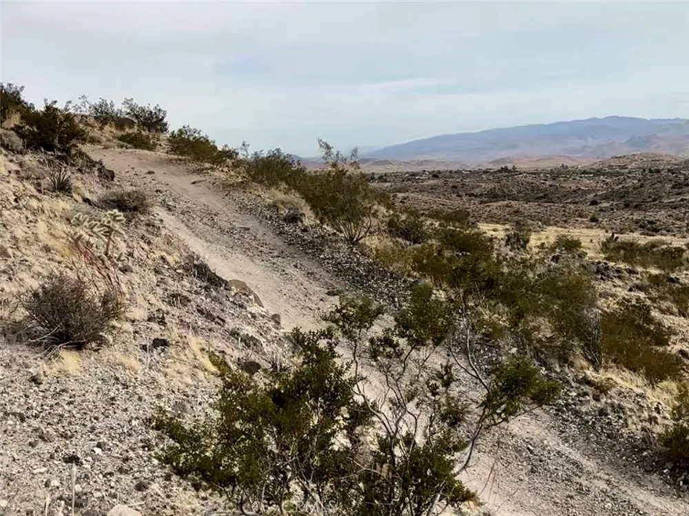 1234 Terra Vista Yucca Valley, CA 92284