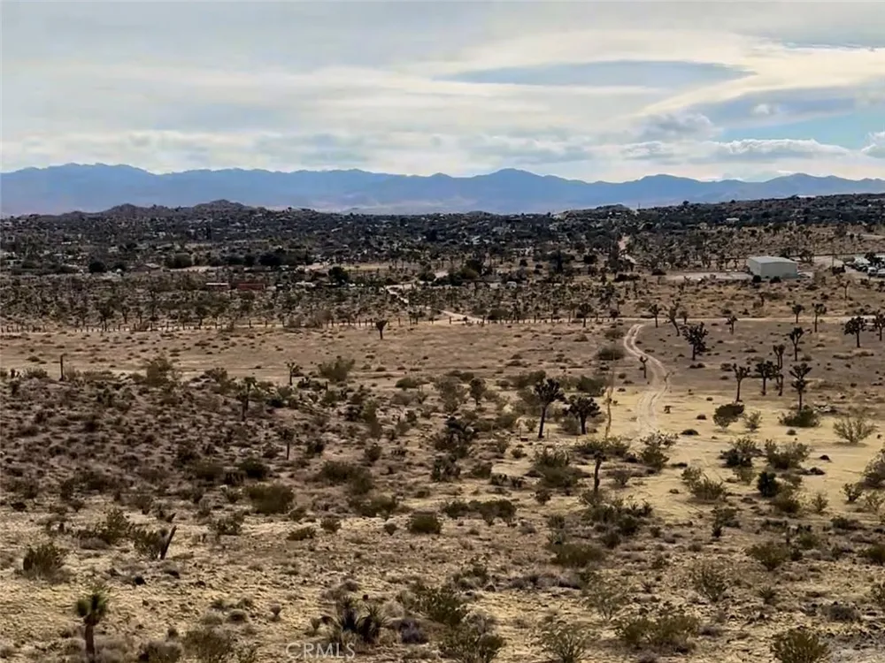 1234 Terra Vista Yucca Valley, CA 92284