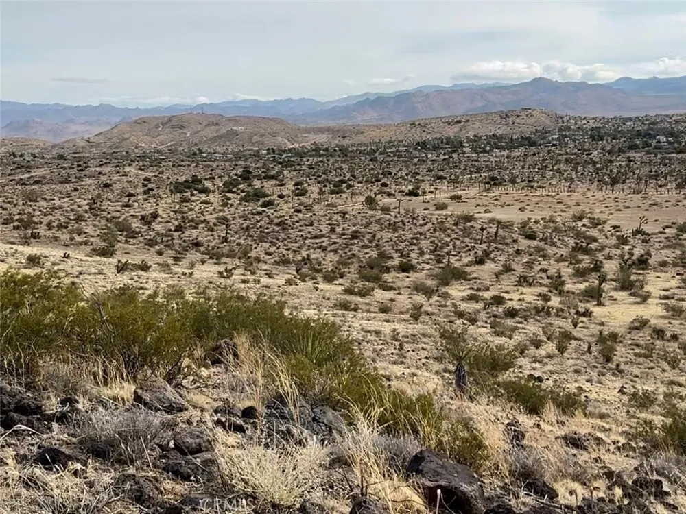 1234 Terra Vista Yucca Valley, CA 92284