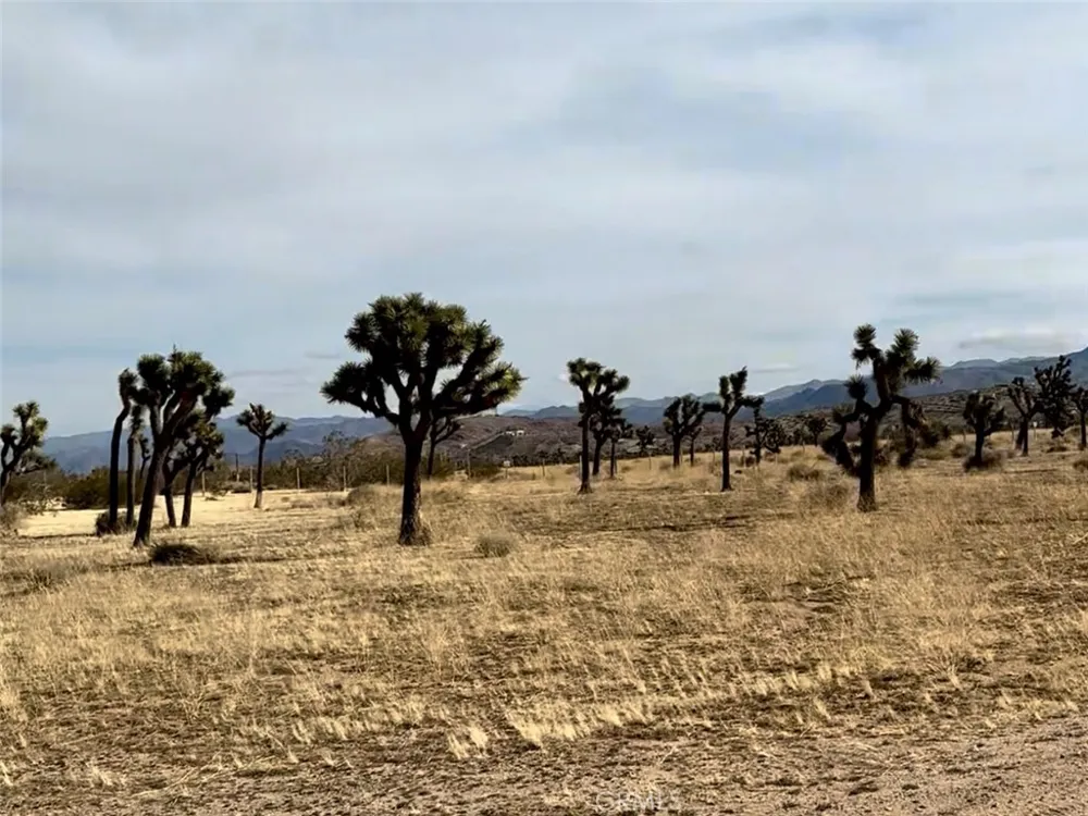 1234 Terra Vista Yucca Valley, CA 92284