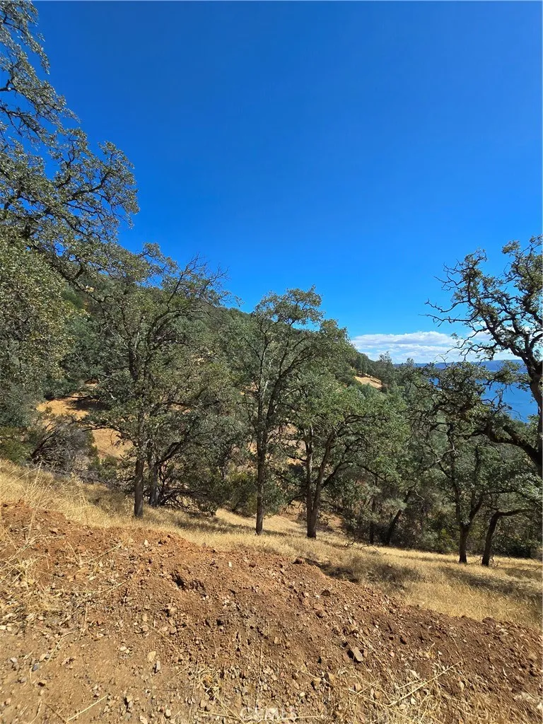 9500 Glenhaven Drive Glenhaven, CA 95443