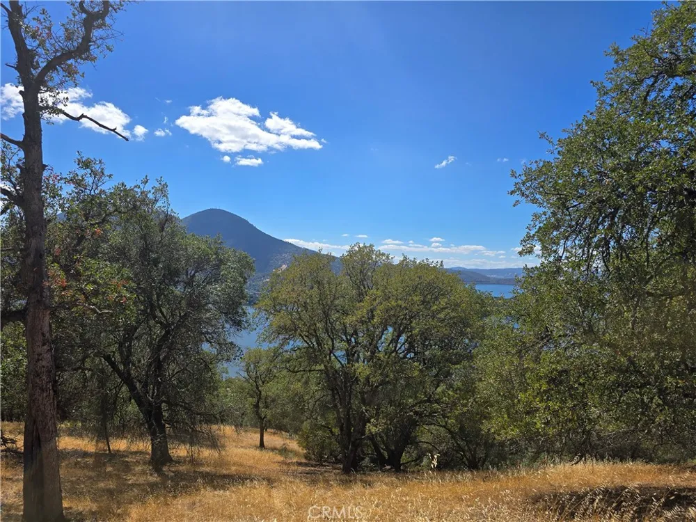 9500 Glenhaven Drive Glenhaven, CA 95443