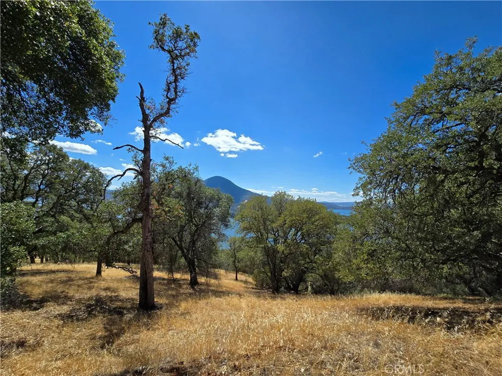 9500 Glenhaven Drive Glenhaven, CA 95443