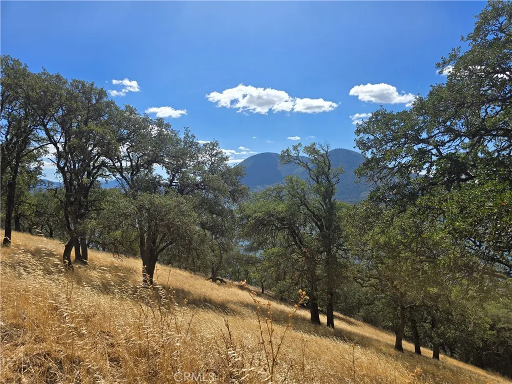 9500 Glenhaven Drive Glenhaven, CA 95443
