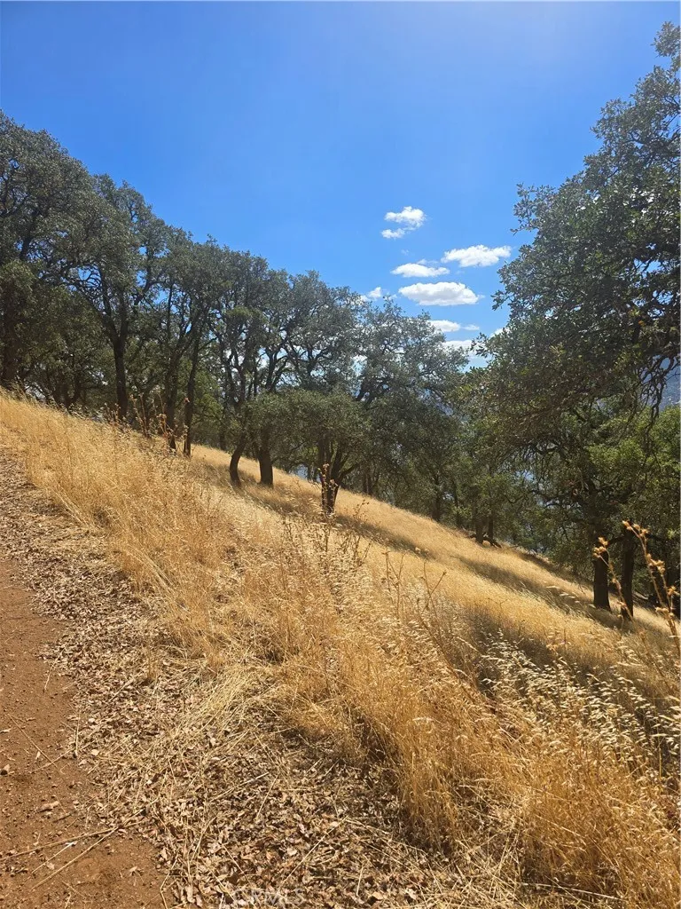 9500 Glenhaven Drive Glenhaven, CA 95443