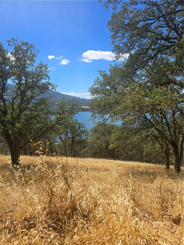 9500 Glenhaven Drive Glenhaven, CA 95443