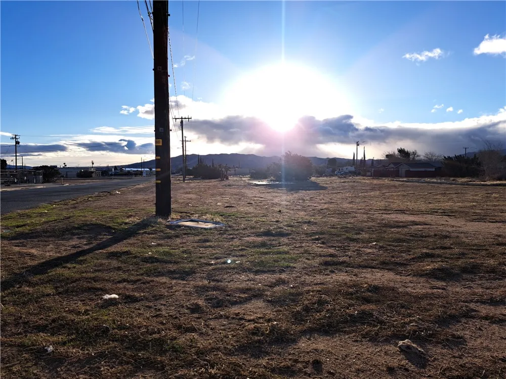 Walnut Hesperia, CA 92345