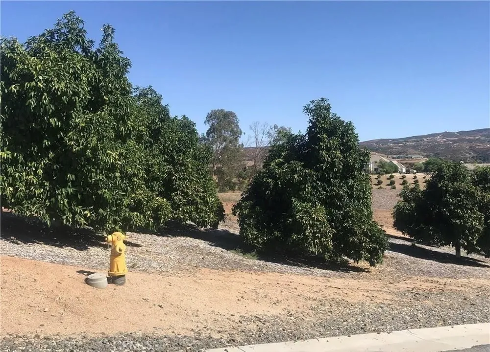 38538 Martin Ranch Road Temecula, CA 92592