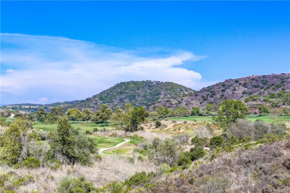 19 Via Nerisa San Clemente, CA 92673