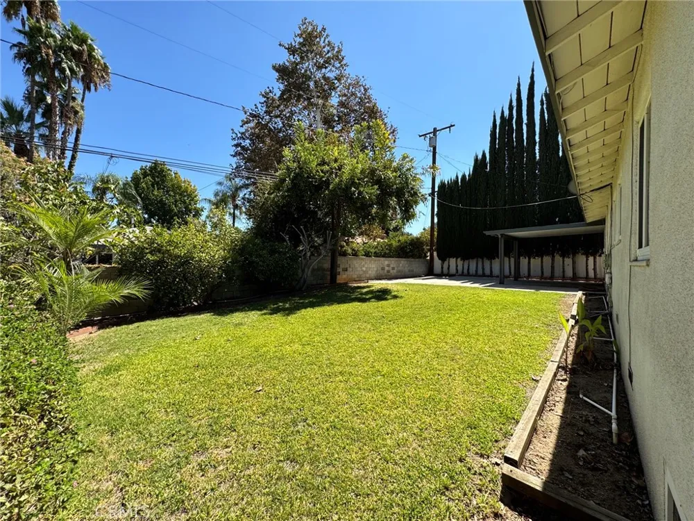 517 Lemon Redlands, CA 92374