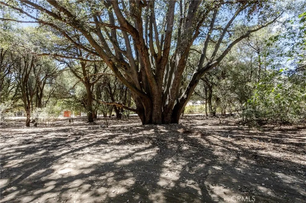 39922 Pine Bench Road Oak Glen, CA 92399