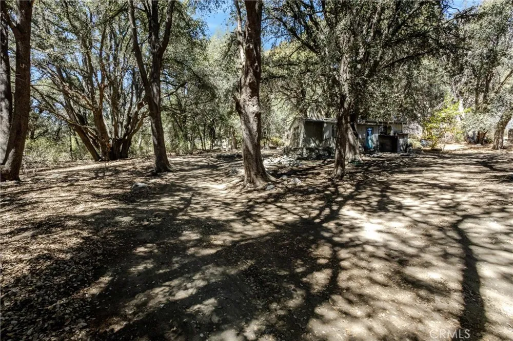 39922 Pine Bench Road Oak Glen, CA 92399