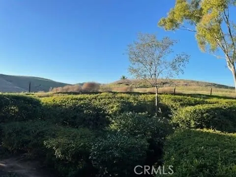 22165 Caminito Petatlan Laguna Hills, CA 92653
