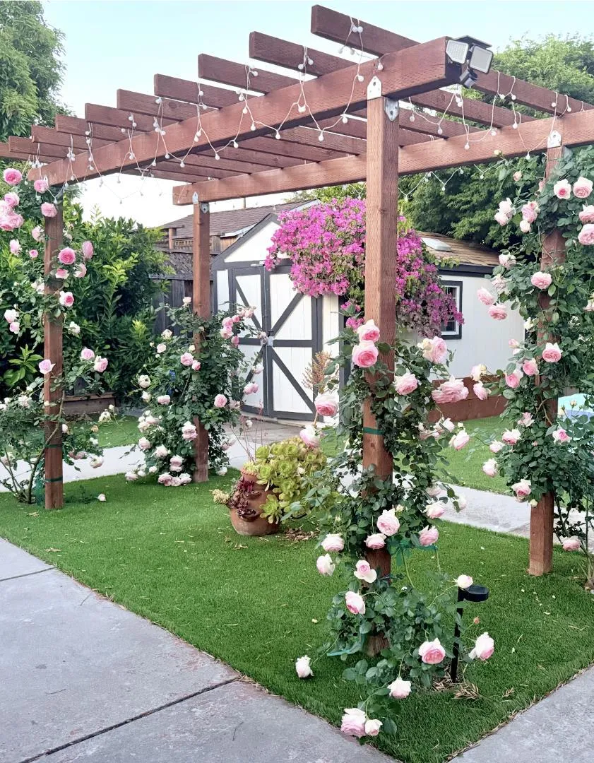 414 Patton Avenue San Jose, CA 95128