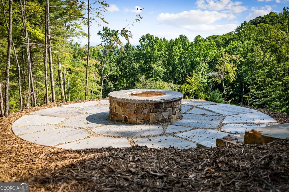 191 Green Ridge RD Blue Ridge, GA 30513
