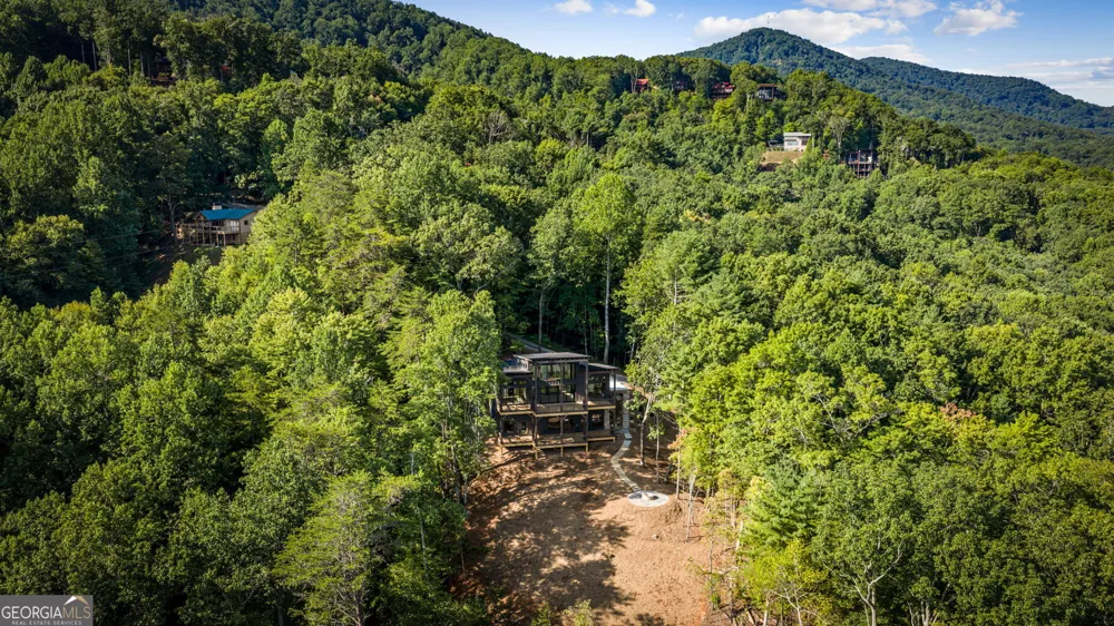 191 Green Ridge RD Blue Ridge, GA 30513