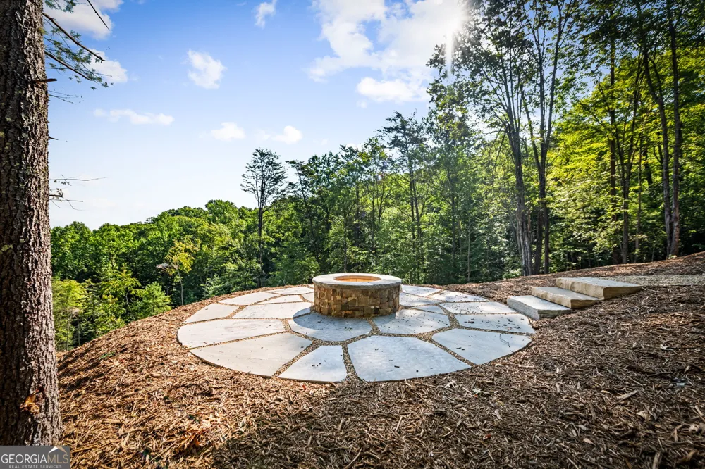 191 Green Ridge RD Blue Ridge, GA 30513
