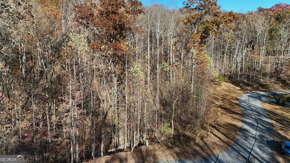 LOT 198 Northshore DR Cleveland, GA 30528