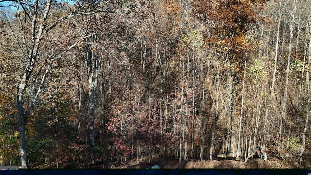 LOT 198 Northshore DR Cleveland, GA 30528