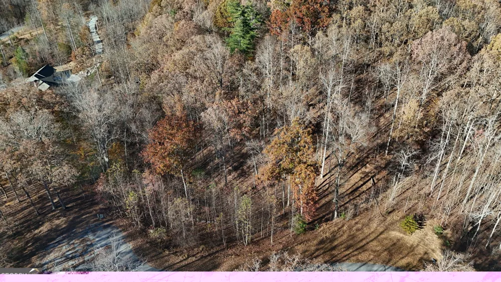 LOT 198 Northshore DR Cleveland, GA 30528
