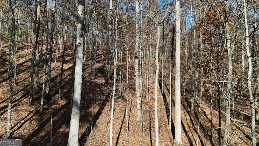 LOT 198 Northshore DR Cleveland, GA 30528