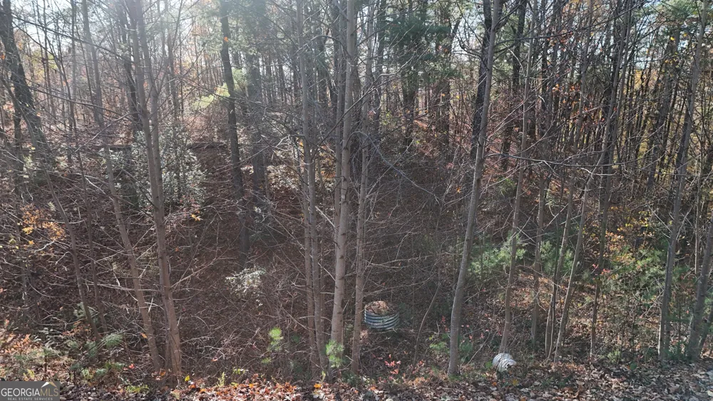 LOT 198 Northshore DR Cleveland, GA 30528