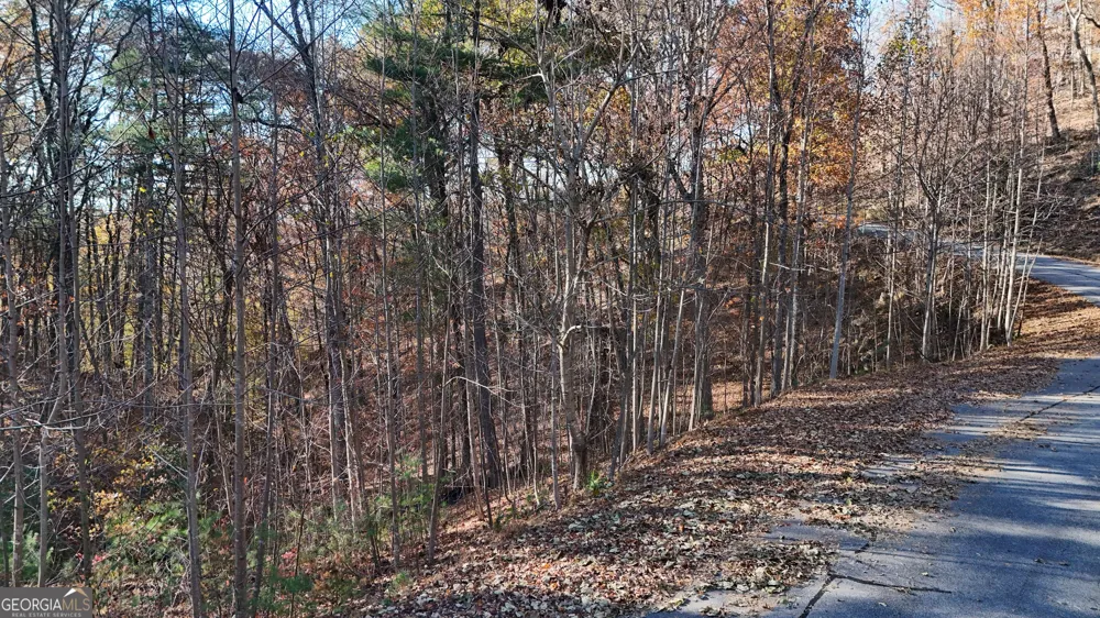 LOT 198 Northshore DR Cleveland, GA 30528