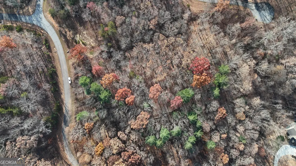LOT 198 Northshore DR Cleveland, GA 30528