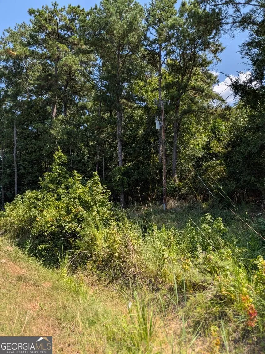 113 Stewart AVE NE Milledgeville, GA 31061