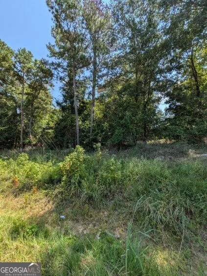 109 Stewart AVE NE Milledgeville, GA 31061