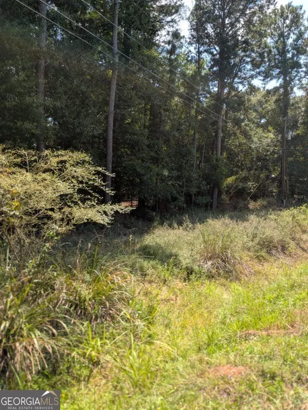 109 Stewart AVE NE Milledgeville, GA 31061
