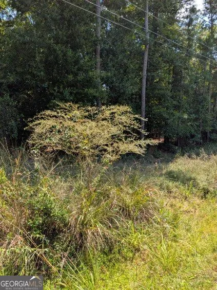 109 Stewart AVE NE Milledgeville, GA 31061