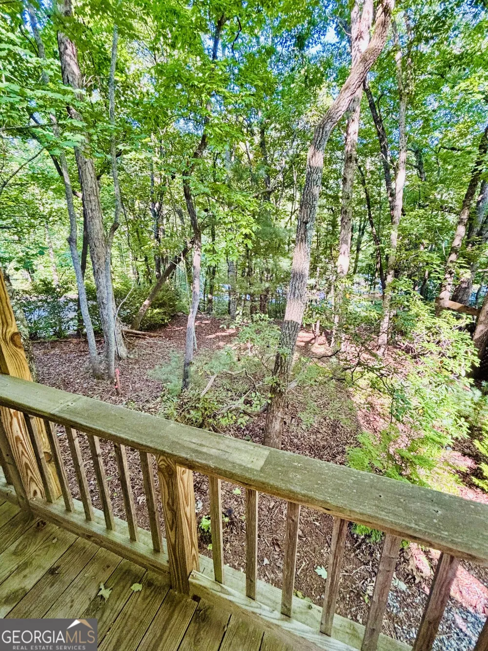 66 Timberview DR Cleveland, GA 30528