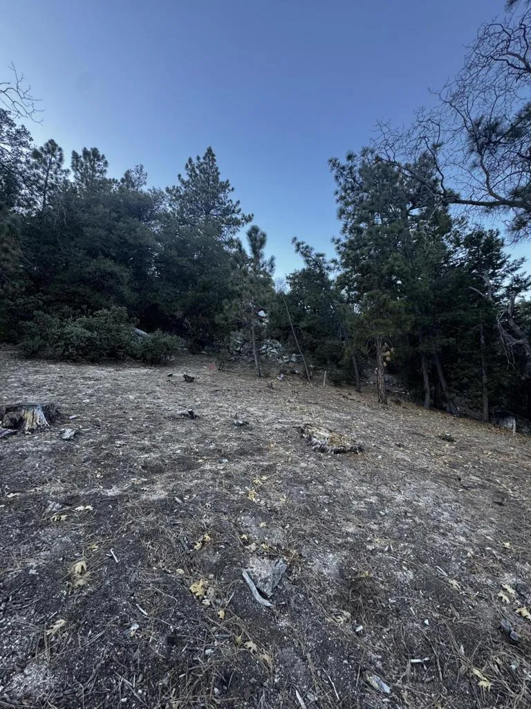 25327 Scenic View Drive Idyllwild, CA 92549