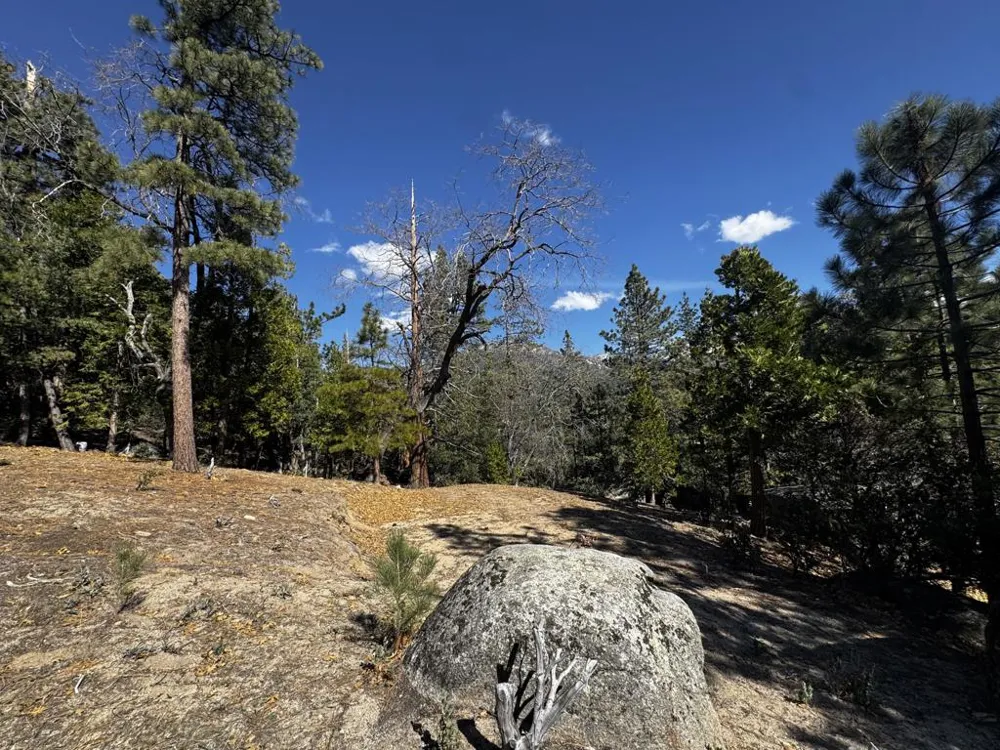 25327 Scenic View Drive Idyllwild, CA 92549