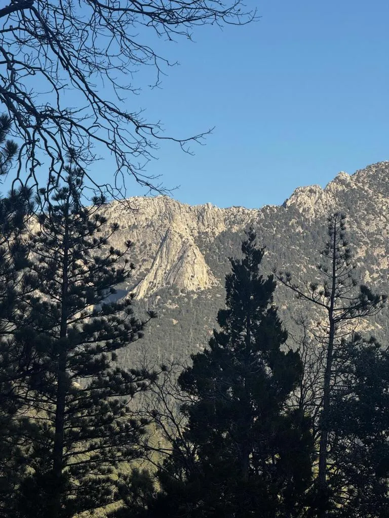 25327 Scenic View Drive Idyllwild, CA 92549