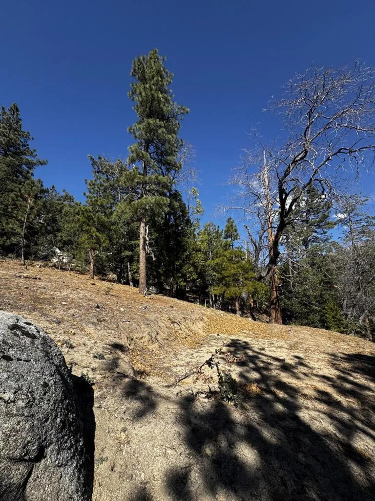 25327 Scenic View Drive Idyllwild, CA 92549