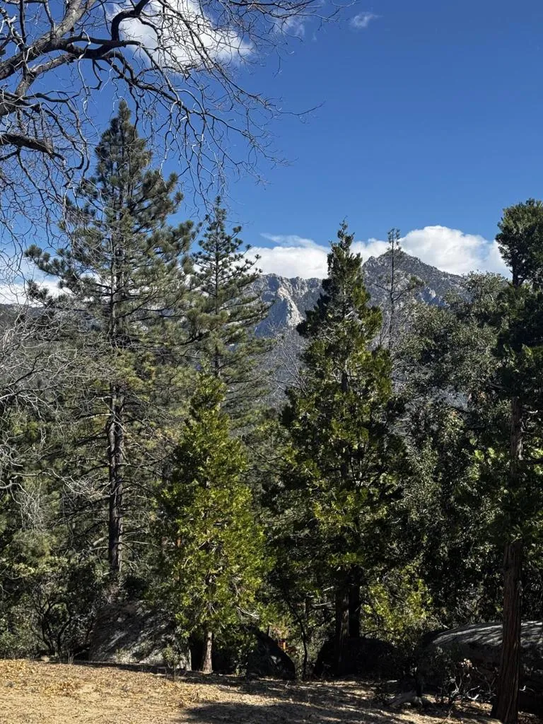 25327 Scenic View Drive Idyllwild, CA 92549