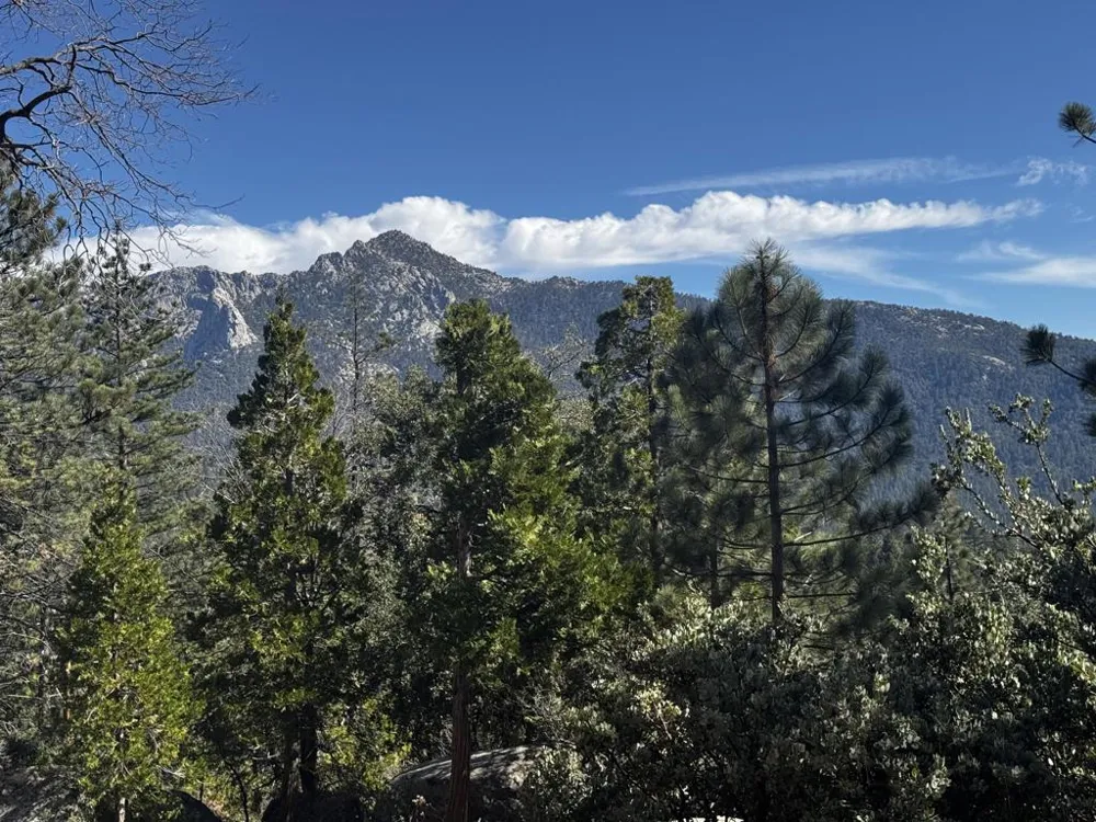 25327 Scenic View Drive Idyllwild, CA 92549