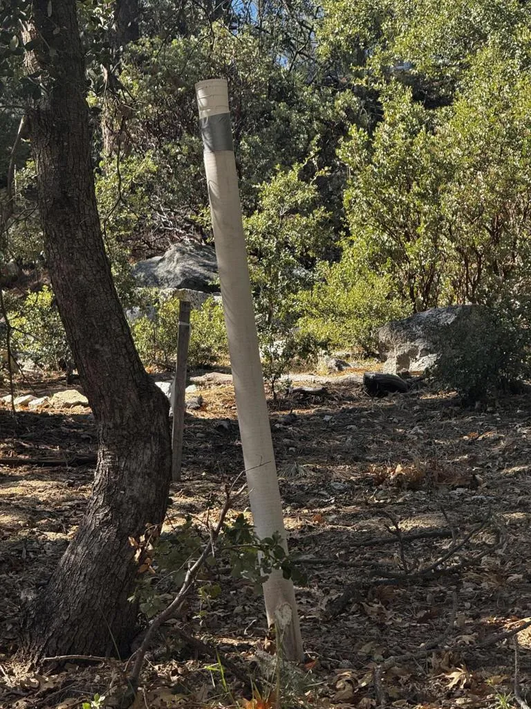 25327 Scenic View Drive Idyllwild, CA 92549