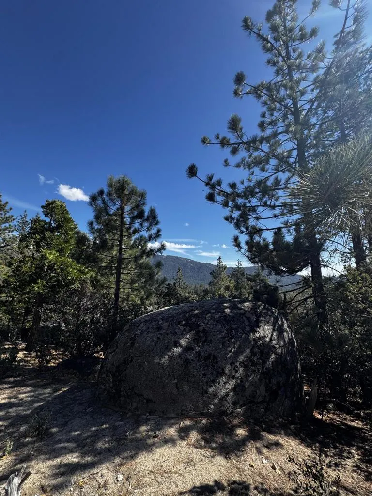 25327 Scenic View Drive Idyllwild, CA 92549