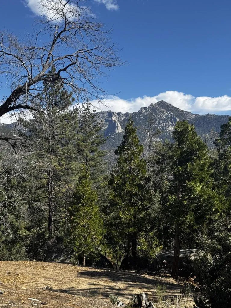 25327 Scenic View Drive Idyllwild, CA 92549