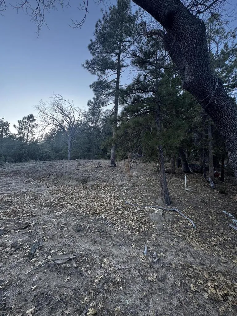 25327 Scenic View Drive Idyllwild, CA 92549