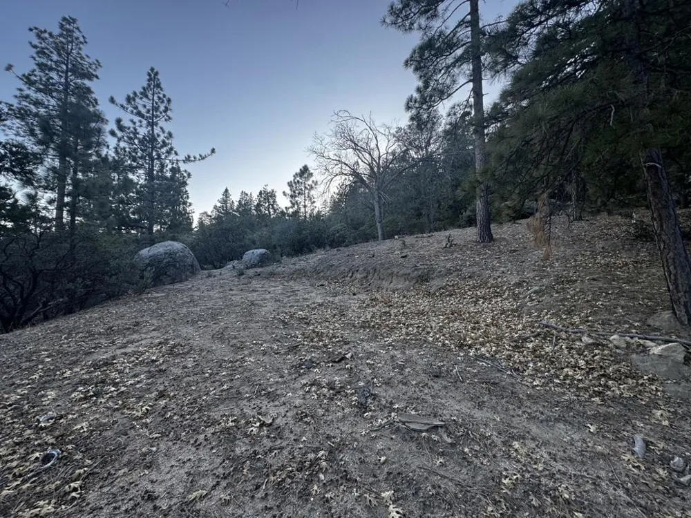 25327 Scenic View Drive Idyllwild, CA 92549